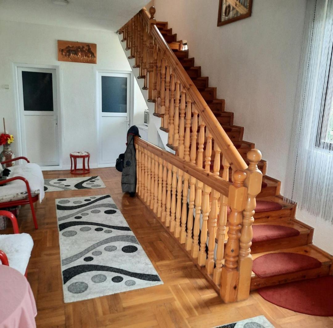 Travel Hostel - 400M From Bus Station Peć Zewnętrze zdjęcie